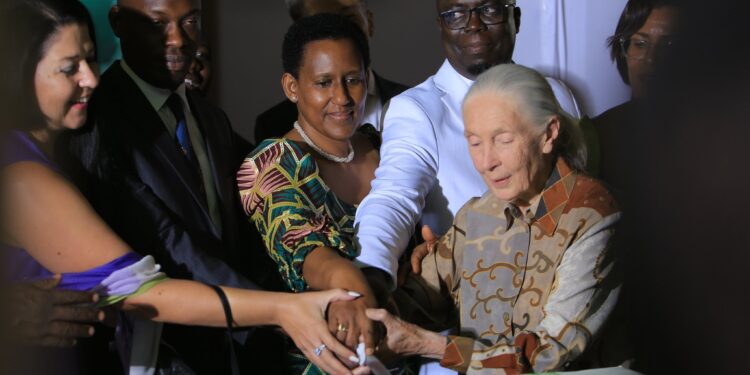 Pictorial: Ngamba Island Celebrates Silver Jubilee in Style