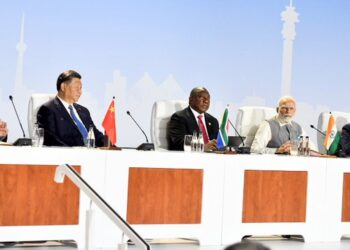 BRICS Leaders Pledge to Support Developing Countries with Focus on Africa