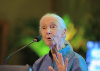 Dr Jane Goodall Urges Ugandan Conservationists to Harmonize Efforts for Chimpanzee Survival