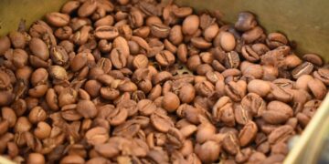 Uganda Records Highest Coffee Exports Ever
