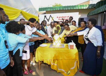 Museveni to Set Up Common User Skilling Facilities
