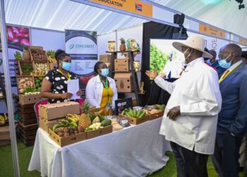 Museveni Woos South African Investors
