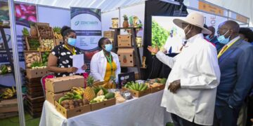 Museveni Woos South African Investors