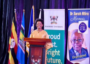 Joint Security Forces Recover 3 Guns in Karamoja