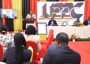 African Union Tests Diplomatic Muscle with G20 Entry