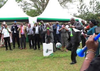 Joint Advocacy Campaign to Address Aflatoxins Launched 