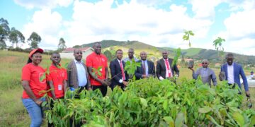 Absa Bank Uganda & Bishop Stuart University Partner to Plant Trees