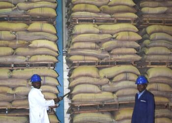 Uganda Exports 5.9 Million Coffee Bags Worth $993m in 12 Months