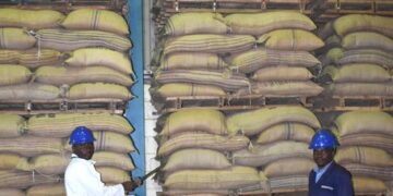 Uganda Exports 5.9 Million Coffee Bags Worth $993m in 12 Months