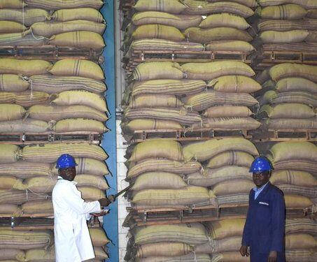 Uganda Exports 5.9 Million Coffee Bags Worth $993m in 12 Months