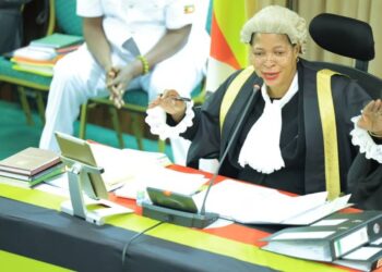 I am not Worried, Museveni will Respond to UK Sanctions, Says Anita Among