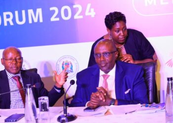 MoFA’s Commercial Diplomacy Yielding Resounding Results – Amb Kabonero