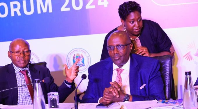 MoFA’s Commercial Diplomacy Yielding Resounding Results – Amb Kabonero