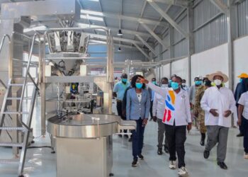 High Court Denies Bail to Molly Katanga for Second Time