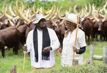 Entebbe Airport Records Increase in Number of Passengers