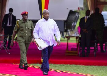 The Problem is Not Jobs but Lack of Vision – Museveni