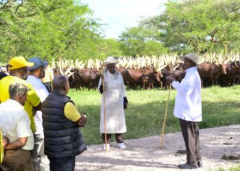 Museveni Hosts Top Leaders at Kisozi Farm, Reaffirms Wealth Creation Strategy