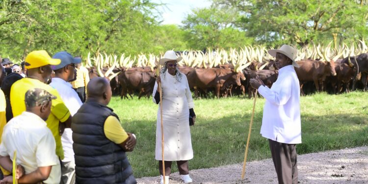 Museveni Hosts Top Leaders at Kisozi Farm, Reaffirms Wealth Creation Strategy