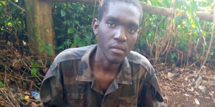 UPDF, DR Congo Army Capture ADF Commander Anywari Al Iraq