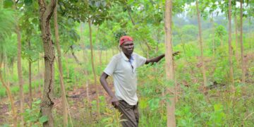 2,278 Hectares of Degraded Land Restored in Refugee Hosting Communities 