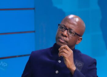 NEMA Boss Dr Barirega Speaks Out on Lubigi Wetland Eviction