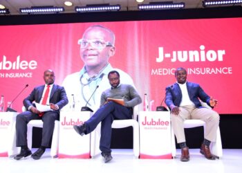 Insurance Crucial to Closing Healthcare Funding Gaps-Experts