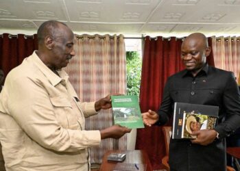 Operation Wealth Creation: Gen Salim Saleh Shares Military Insights other Than War with Gabonese President 