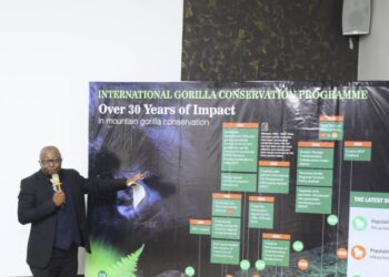Sustained Conservation and Collaborations Drive Mountain Gorilla Population Growth-Report