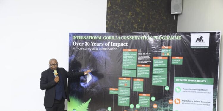Sustained Conservation and Collaborations Drive Mountain Gorilla Population Growth-Report