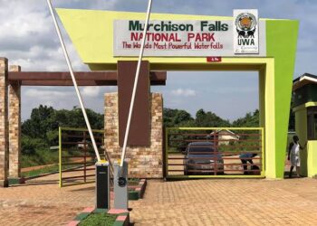 Karuma Bridge Closure: UWA Issues Guidelines for Motorists Transiting Through Murchison Falls Park