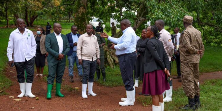 UWA Unveils Ambitious Plan to Revamp Entebbe Botanical Gardens