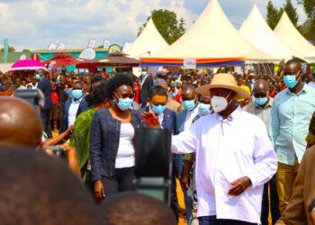 Museveni Urges Businesses to Utilize UDB for Credit Facilities