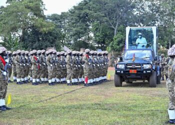 Museveni Proposes Roads to Connect East Africa to Central African Republic, Tips Uganda Airlines on Flying to Bangui