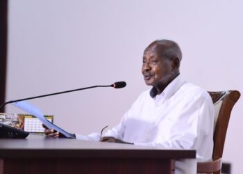 Tribalising Rationalisation of Agencies is Criminal – Museveni