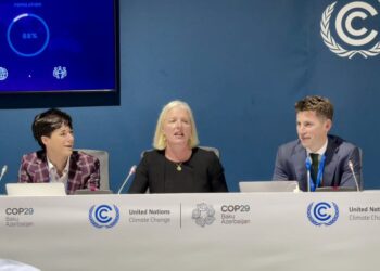 COP29: UN Expert Group Chair Calls for Urgent High-Integrity Net Zero Plans by 2025