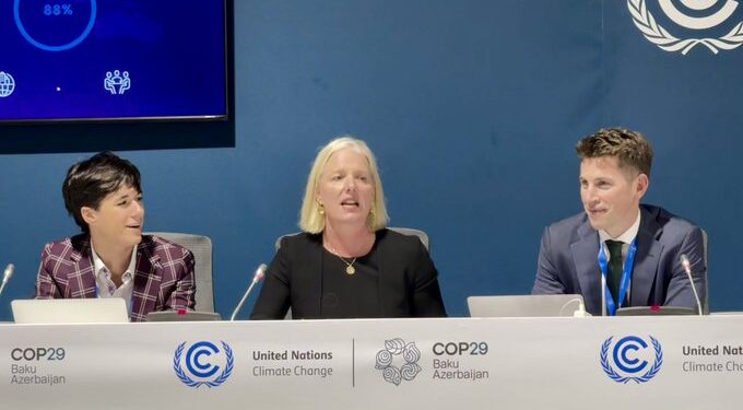 COP29: UN Expert Group Chair Calls for Urgent High-Integrity Net Zero Plans by 2025