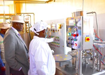 Minister Rwamirama Launches UDB-funded Dairy Processing Cooperative Firm