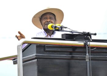 COP29: Patricia Ojangole says UDB Focused on Mobilizing Climate Finance