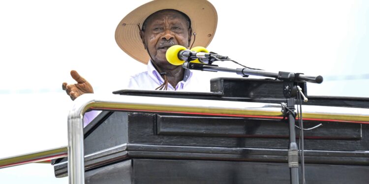 COP29: Patricia Ojangole says UDB Focused on Mobilizing Climate Finance