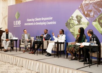 COP29: Patricia Ojangole says UDB Focused on Mobilizing Climate Finance