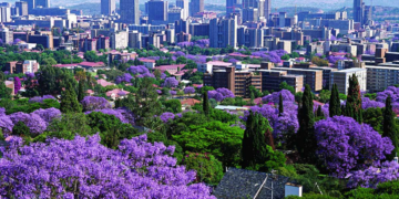 Second Convention of Ugandans in Southern Africa Kicks Off in Pretoria