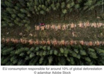 EU Deforestation Law: Council Formally Adopts One-Year Postponement