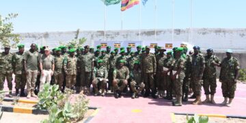 EU Deforestation Law: Council Formally Adopts One-Year Postponement