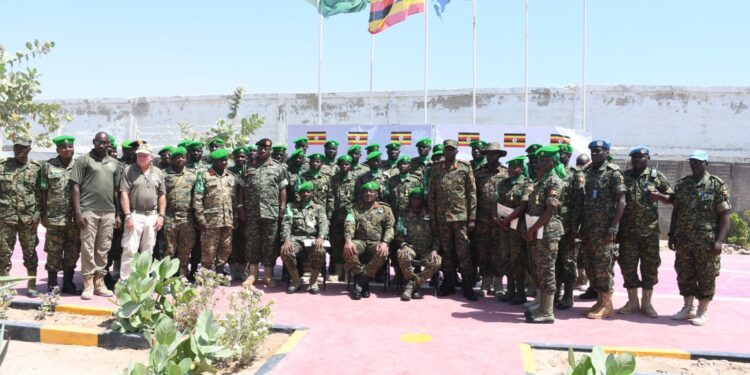 EU Deforestation Law: Council Formally Adopts One-Year Postponement