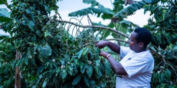 Uganda Breweries Transforms Mitooma Businesswoman’s Life with Shs50M Windfall