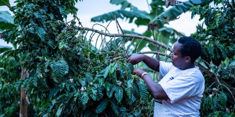 Uganda Breweries Transforms Mitooma Businesswoman’s Life with Shs50M Windfall