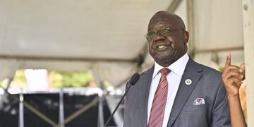 Government to Establish Egg Processing Factory
