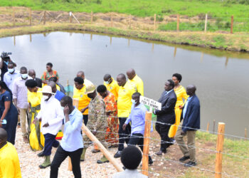 Museveni Condemns Cattle Rearing in Wetlands, Encourages Fish Farming for Sustainability