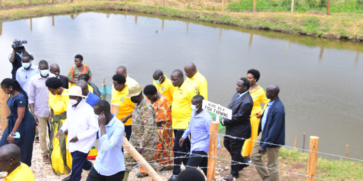 Museveni Condemns Cattle Rearing in Wetlands, Encourages Fish Farming for Sustainability