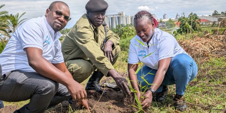 Nile Breweries Achieves 40% Reduction in Water Usage at Mbarara Brewery